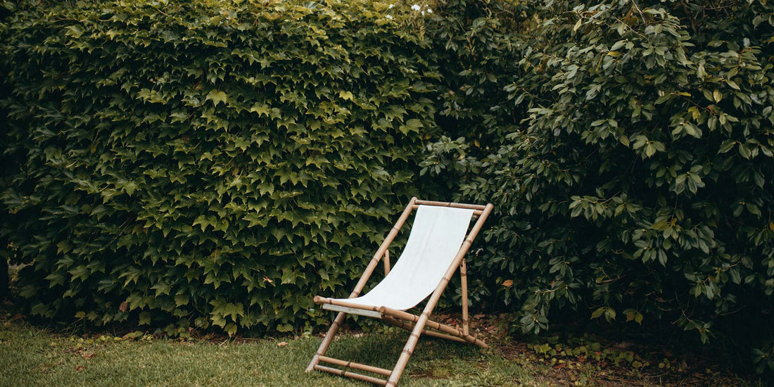 The Sustainable Power of Bamboo